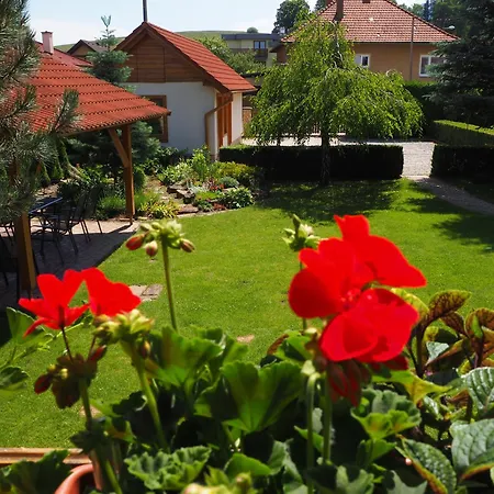 Privat Alenka Lipótszentmiklós